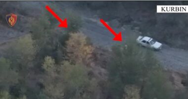 EMRAT/ Aksion kundër kanabisit, arrestohen dy të rinj në Kurbin