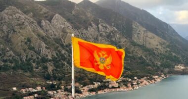 Njehsim falas i diplomave/ Mali i Zi, hiqet tarifa 3500 euro për konvertimin e diplomave të studimit në Shqipëri