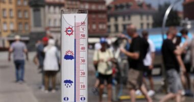 OBSH: Vapa ekstreme mund të ketë shkaktuar mbi 1.300 vdekje shtesë në Evropë