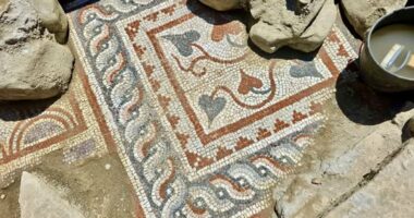 Elbasan, mozaik në bazilikën paleokristiane/ Zbulimi gjatë gërmimeve pranë murit të qytetit antik Scampis