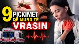 Një pickim që mund të rrezikojë jetën! Çfarë duhet të dini për anafilaksinë