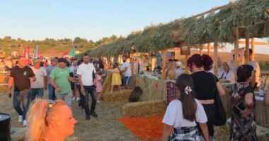 Myzeqeja mblidhet në festën e grurit/ Fier, tradita e fermerëve në nisje të sezonit të korrjeve