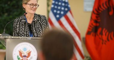 SHBA: Klimë e mirë për investimet e huaja / Nancy Van Horn: Shumë investitorë amerikanë të interesuar për Shqipërinë