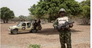 Masakër në Nigeri, grupi i armatosur ekzekuton 17 fermerë