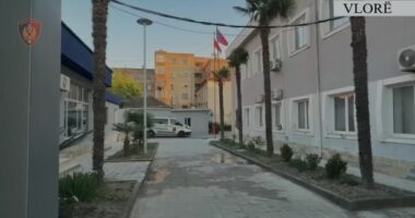 Tërhoqën zvarrë dhe dhunuan protestuesin/ Protesta në Zvërnec, arrestohen edhe dy efektivë të policisë private