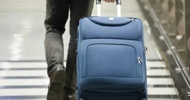 Studimi zbulon vendet më mikpritëse për emigrantë