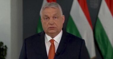 Berisha, “idhulli” i Orban/ Humbi thellë zgjedhjet, por u zgjodh në krye të Fidzes, në një garë pa kandidatë