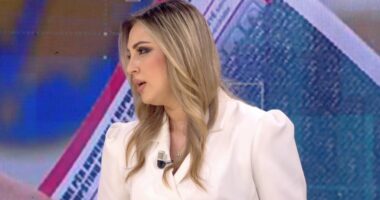 “Detyra e parë e qeverisë, zgjedhja e presidentit”, Gazetarja: Fushata e Kurtit, gjuhë linçuese