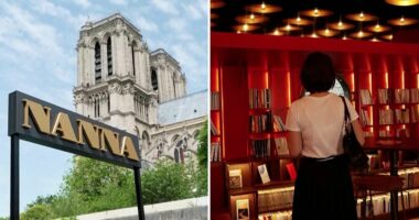 Paris, hapet një librari lundruese me mbi 5 mijë vepra!