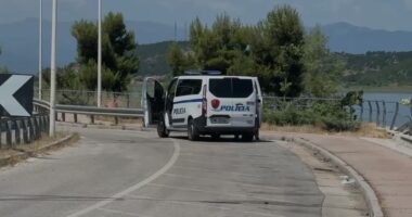 Plagosja në Pogradec/ Arrestohet në Përrenjas autori