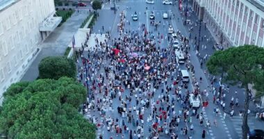 Pamjet me dron, dita e 30-të e protestës/ Ja pjesëmarrja në bulevard