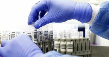 SHBA publikon të dhëna për laboratorë biologjikë në mbi 30 vende