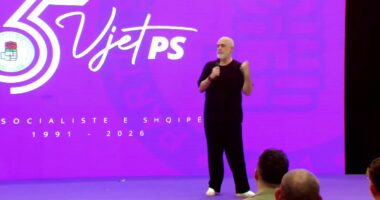 “Flamingot, jo rastësisht në ngjyrën e PS”/ Protesta, Rama: Blogerët janë në Palasë, moralistët ata që s’kanë paguar një euro taksë