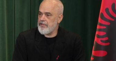 Protesta/ Rama: S’e kuptoj pse “flamingot” nuk duan të ndahen nga “sorrat e korbat” që kërkojnë të marrin peng Shqipërinë?!