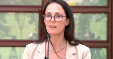 “Dyfisho ndërmarrjen tënde”/ Ibrahimaj: Programi hap dyert më 1 korrik, informim dhe transparencë për bizneset
