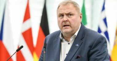 Miratohet raporti për Kosovën në PE/ Terras: Keqardhje për situatën politike