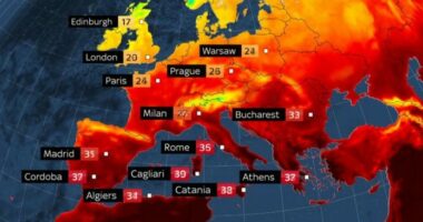 Evropa vuan, temperaturat e larta kthehen në sfidë për kontinentin