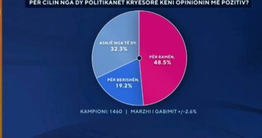 Për cilin nga dy politikanët kryesorë keni opinion më pozitiv? Ja përgjigjet e shqiptarëve