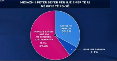 Kujt i adresohet mesazhi i Beyer për një kryetar të ri në PD? Shumica: As Tabaku as Bardhi