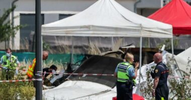 Tragjedi në ajër, 11 viktima/ Avioni për parashutizëm rrëzohet në Francë. Viktimat, instruktore e studente
