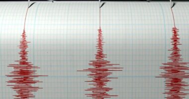 Një tërmet i fortë godet Japoninë, sa ishte magnituda