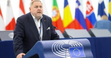 Raportuesi për Kosovën në PE: Duhet të marrë statusin e kandidatit për BE