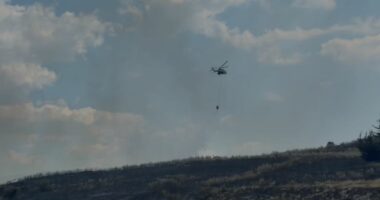 VIDEO/ Zjarr në Hekal të Mallakastrës, digjen hektarë me shkurre dhe ullinj