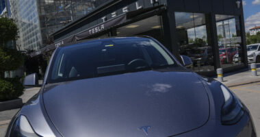 Shitjet e “Tesla” në Bashkimin Evropian u rritën me 152.4 për qind