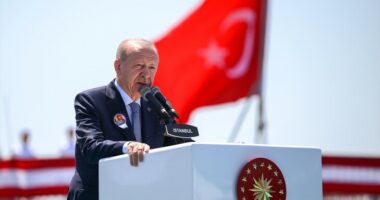 Erdogan: Turqia eksporton për herë të parë një anije luftarake në një vend anëtar të NATO-s dhe BE