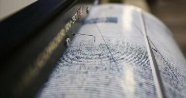 Tërmet 7.8 ballë në Filipine, të paktën 5 të vdekur