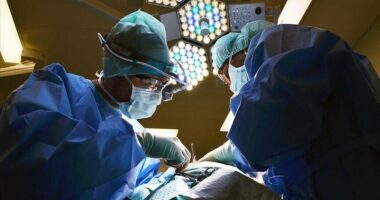 Kina kryen transplantin e parë në botë të mëlçisë dhe veshkave të derrit te një pacient