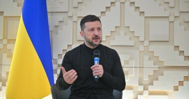 Zelensky: Reagimi i Putin ndaj letrës së hapur për një takim ishte i dobët