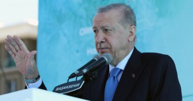 Erdogan: Turqia është aktore kryesore në zgjidhjen e krizave rajonale