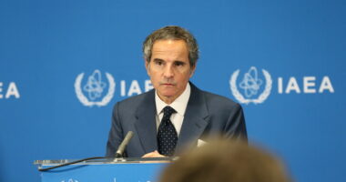 Kreu i Agjencisë Ndërkombëtare të Energjisë Atomike: Inspektimet bërthamore në Iran do  vazhdojnë pavarësisht kundërshtimeve