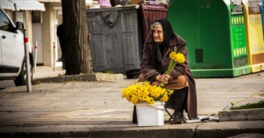 Harta e varfërisë në Europë/ Rajonet ku mbijetesa është sfidë dhe qytetet ku prosperiteti mbetet normë