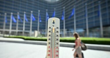 Valë ekstreme e të nxehtit edhe në Belgjikë, vendi regjistron ditën më të nxehtë të vitit