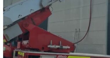 VIDEO/ Përfshihet nga flakët një fabrikë druri në Elbasan, ndërhyjnë zjarrfikësit