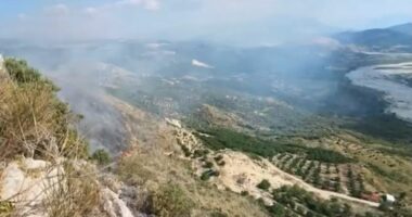 Mallakastër, digjen 30 hektarë tokë/ Zjarrfikësit janë në gatishmëri për të shmangur riaktivizimin