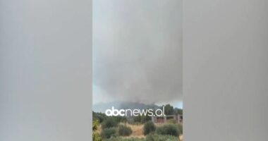VIDEO/ Zjarr në Llakatund të Vlorës, flakët përhapen me shpejtësi nga era e fortë