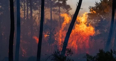 Spanja shpall emergjencën kombëtare për shkak të zjarreve masive, mbi 10 mijë persona evakuohen