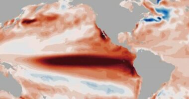 “El Niño” mund të ndryshojë klimën globale/ Paralajmërojnë ekspertët: 2026 rrezikon të jetë një nga vitet më ekstreme të regjistruara