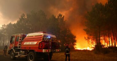 Mbi 160 000 të evakuuar, pas zjarreve në Francë dhe Spanjë