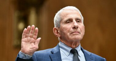 Fauci hesht para Senatit/ Ish-kreu i infektivit amerikan refuzon të dëshmojë për origjinën e COVID-19