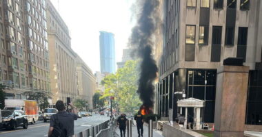 Sulmohet ndërtesa federale në New York/ Një burrë i vë flakën një gjykate për emigracionin në Manhatan, arrestohet