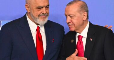 Rama ndan fotoalbumin nga takimet në samitin e NATO-s në Ankara