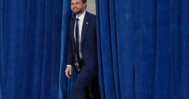 JD Vance: Administrata Trump e menaxhoi keq publikimin e dosjeve Epstein