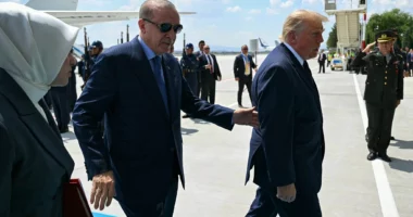 Erdogan pret Trump/ Samiti i NATO mbledh liderët e Aleancës në Ankara