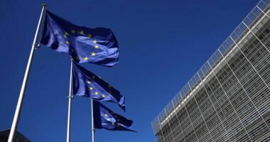 Gjermani Dirk Schubel emërohet përfaqësues i posaçëm i BE-së në Kosovë