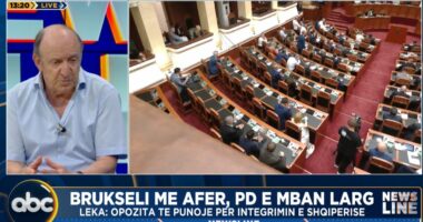 “Do t’i bënte mirë vetes”, Leka: PD duhet të jetë më bashkëpunuese për integrimin në BE