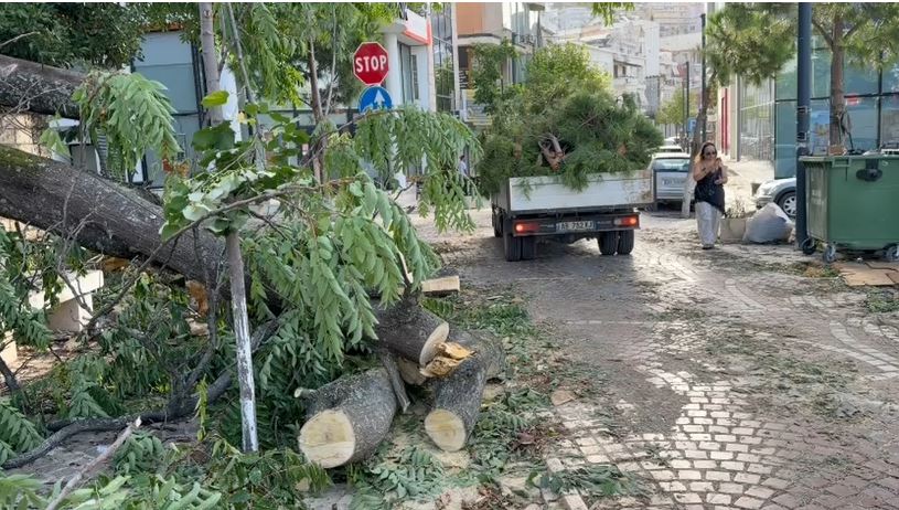 Stuhia e fortë shkul pemët në Sarandë  dëme në makina dhe biznese